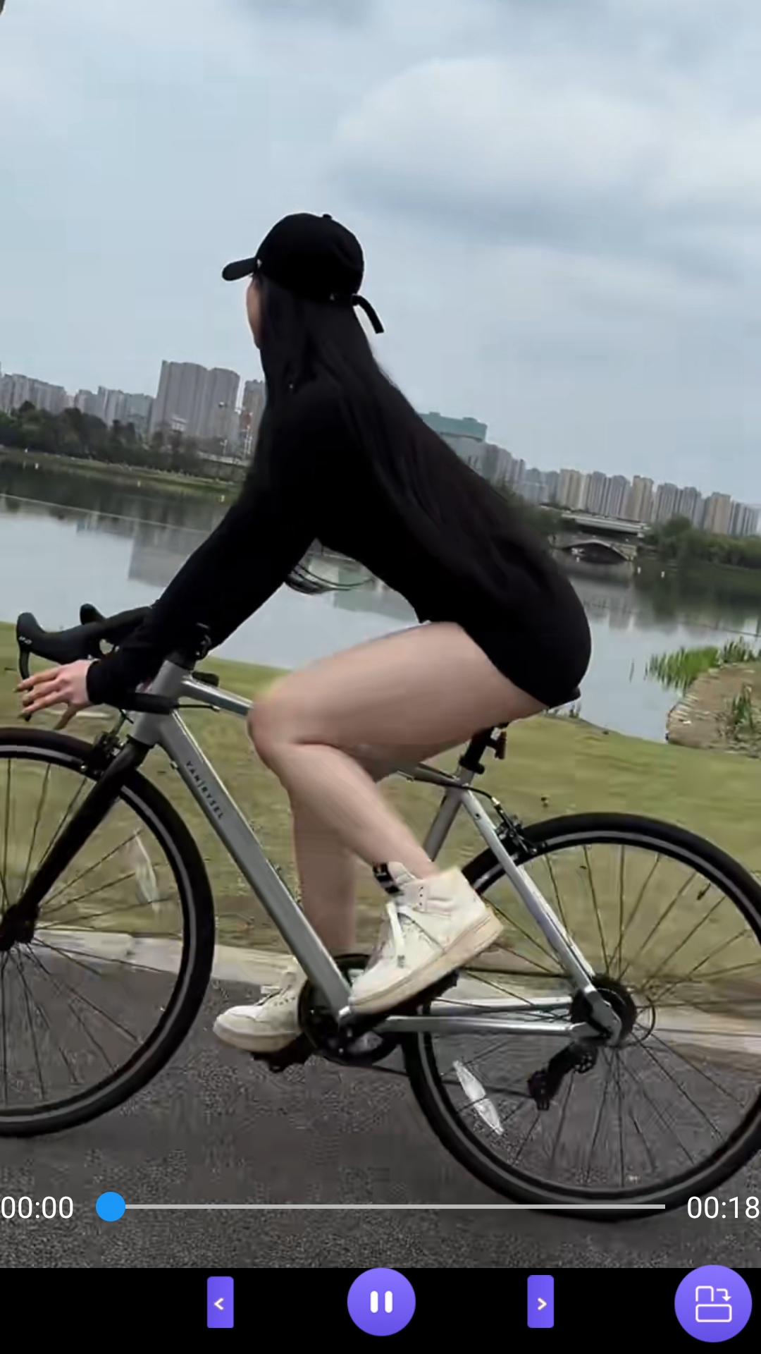 腿长的昆虫截图